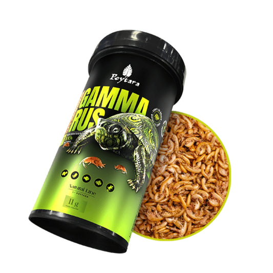POYTARA GAMMARUS 11G