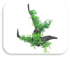 SKRw PLANTA ARTIFICIAL P-502 14X11X11 TRONCO VERDE