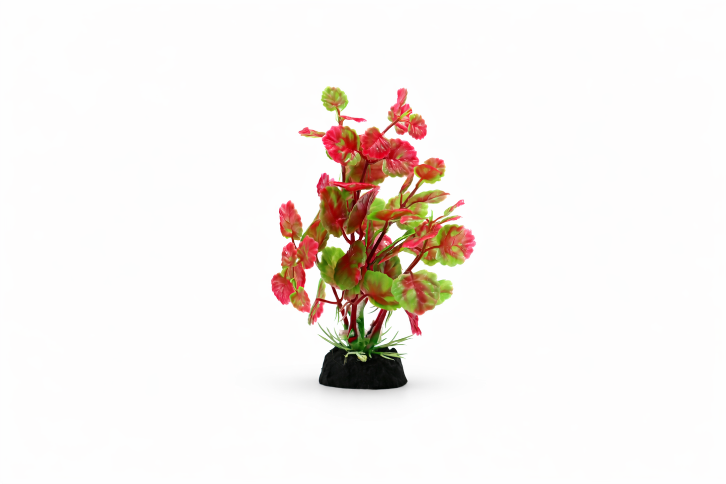 SKRw PLANTA ARTIFICIAL RASTEIRA lLR/RS