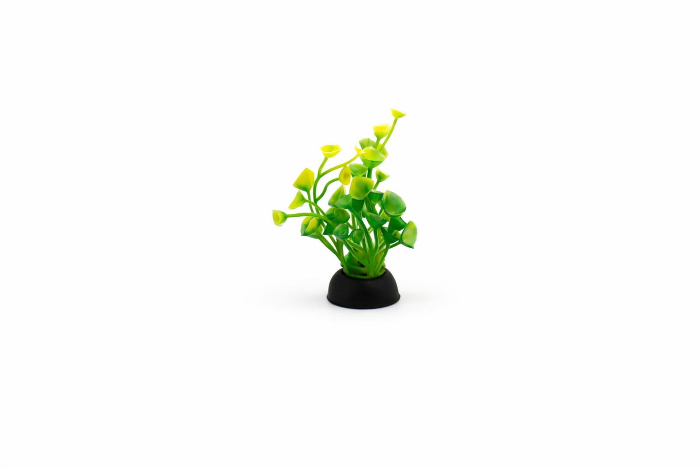 SKRw PLANTA ARTIFICIAL RASTEIRA lLR/RS