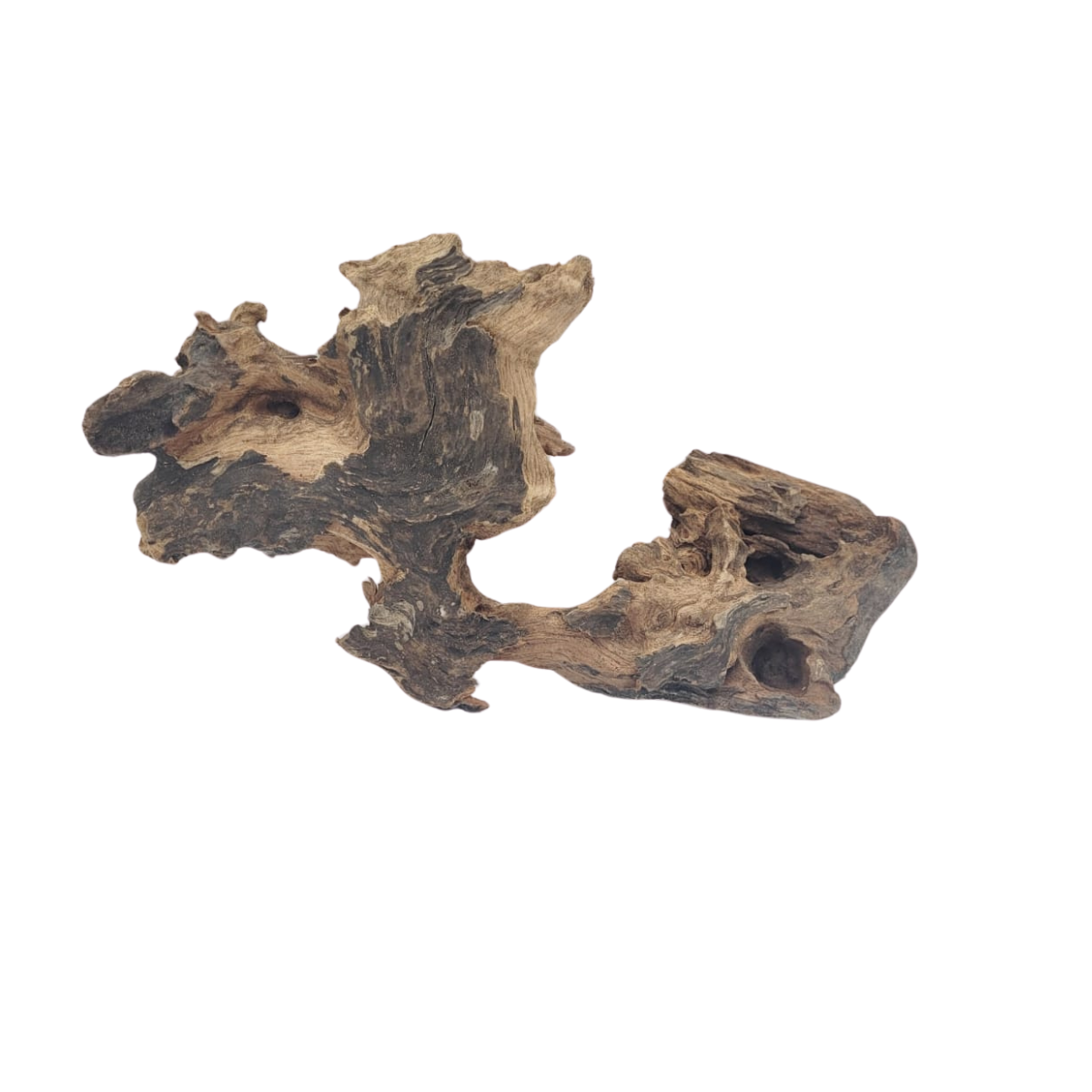 SKRw RAIZ ORNAM. DRIFT WOOD 10-39 CM - KL