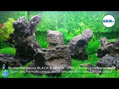 SKRw ROCHA -014 BLACK & WHIT MELALEUCA 20K