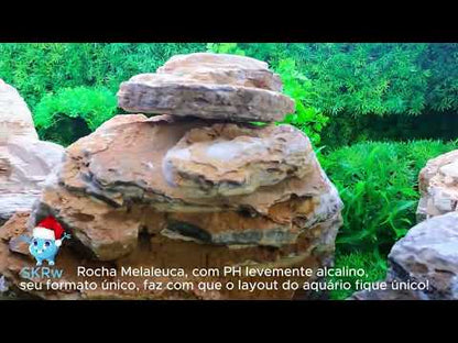 SKRw ROCHA -009 MELALEUCA PETRIFICADA STONE 20K