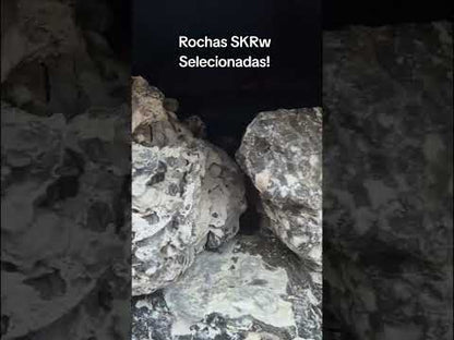 SKRw ROCHA -031 ALABASTER 1 KL